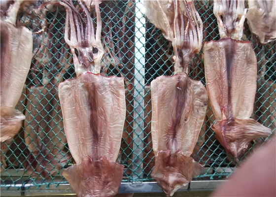 quality Μαζικό ολόκληρο ξηρό καλαμάρι θαλασσινών 80g 90g για το εστιατόριο factory